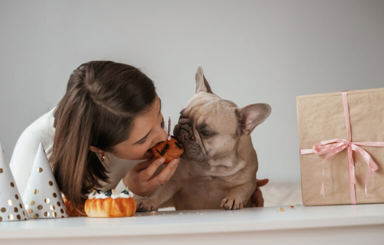 Best Food for French Bulldogs