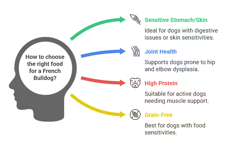 How to choose the right food for a French Bulldog